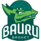 équipe de basketball de l'Associação Bauru Équipe de basketball de l'Associação Bauru