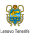 特內里費 Logo
