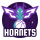 Hornets de Charlotte (NBA)