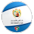Kuwaiti Emir Cup