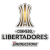 CONMEBOL 리베르타도레스