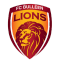 FC Bulleen Lions