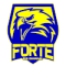 Forte FC Youth