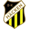 FC Haken