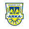 Arka Gdynia (Youth)