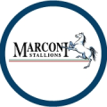 Marconi Stallions U20