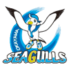 Okayama Seagulls F