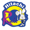 Hitachi W